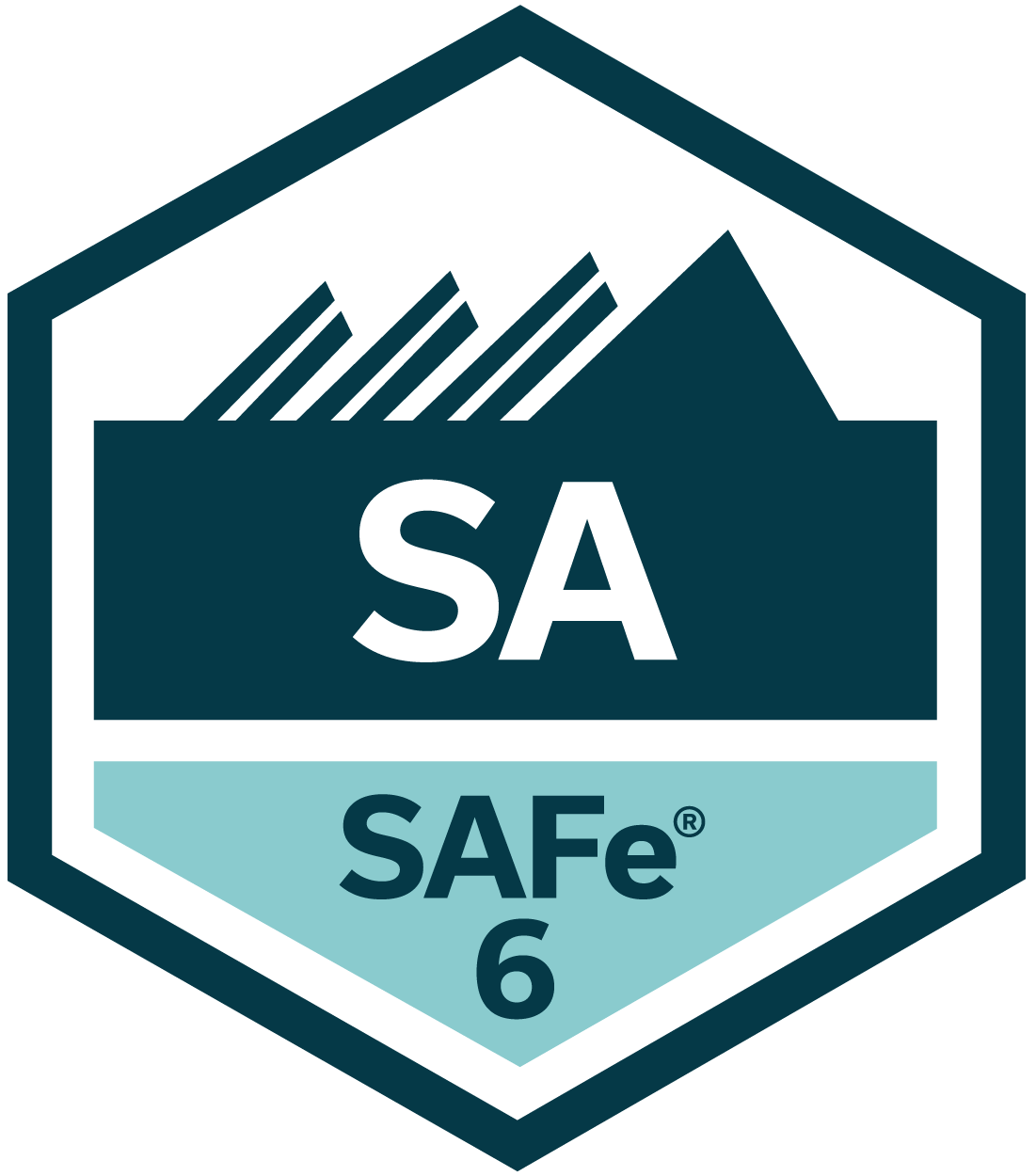 Leading SAFe placeholder image