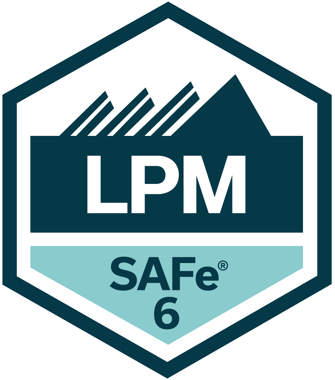 SAFe Lean Portfolio Management placeholder image