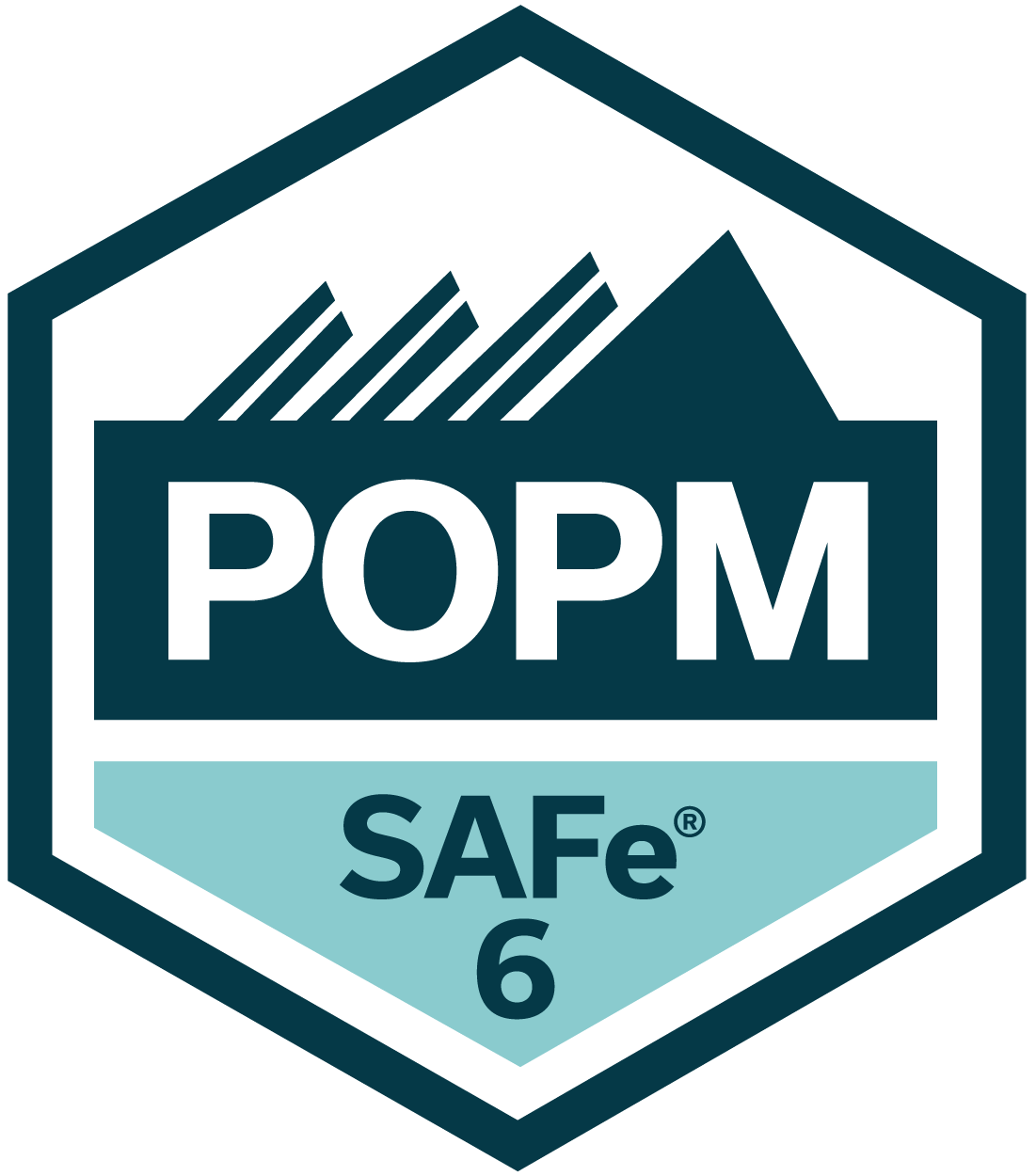 SAFe Product Owner/Product Manager placeholder image