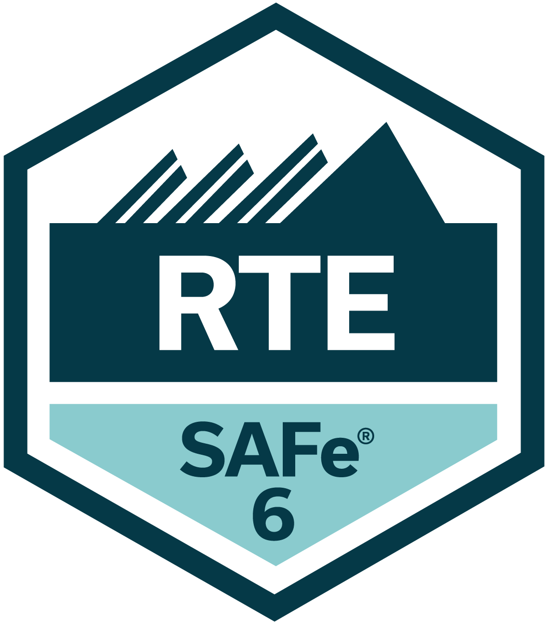SAFe Release Train Engineer placeholder image